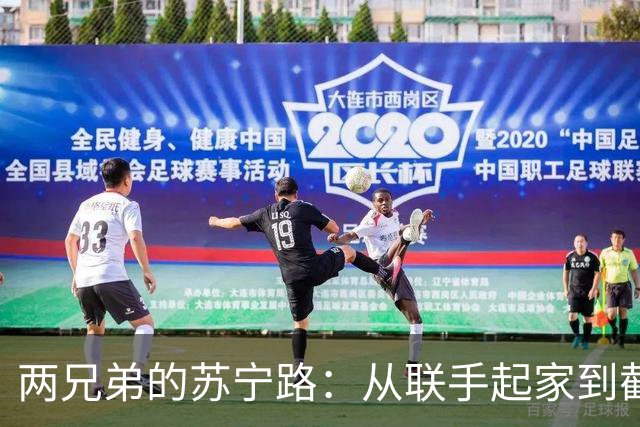 两兄弟的苏宁路：从联手起家到截然不同的结局