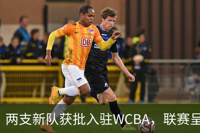 两支新队获批入驻WCBA，联赛呈现回暖迹象