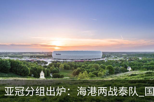 亚冠分组出炉：海港两战泰队 国安遭遇全北浦项