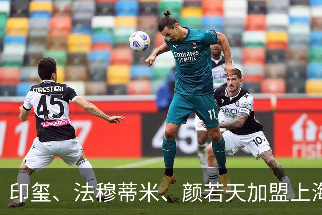 印玺、法穆蒂米、颜若天加盟上海玄鸟教练组