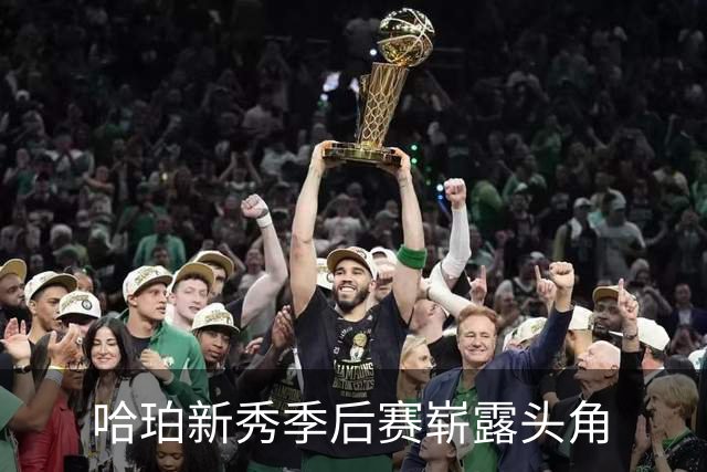 哈珀新秀季后赛崭露头角