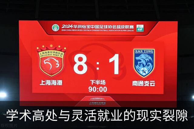学术高处与灵活就业的现实裂隙