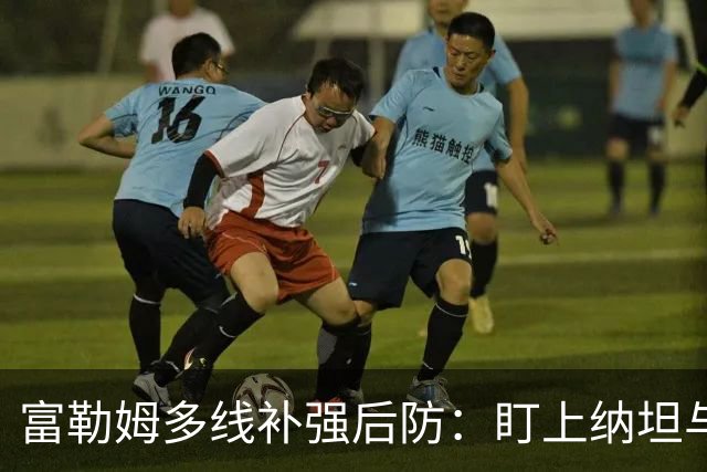 富勒姆多线补强后防：盯上纳坦与巴莱尔迪
