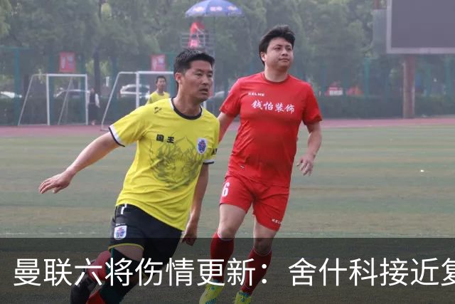 曼联六将伤情更新：舍什科接近复出