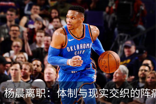 杨晨离职：体制与现实交织的阵痛