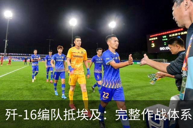 歼-16编队抵埃及：完整作战体系首次亮相中东