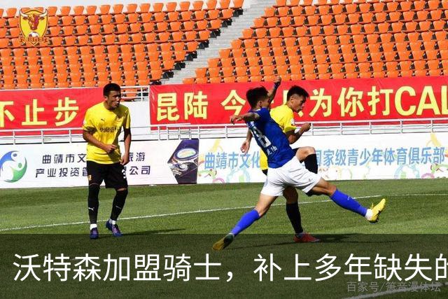 沃特森加盟骑士，补上多年缺失的运动型侧翼