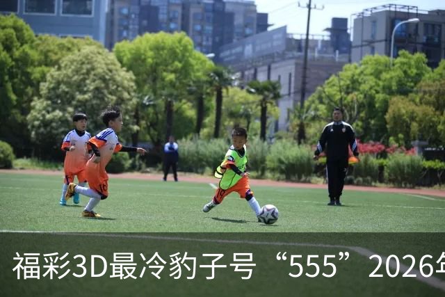 福彩3D最冷豹子号“555”2026年首现