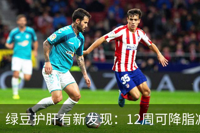 绿豆护肝有新发现：12周可降脂减肝脂