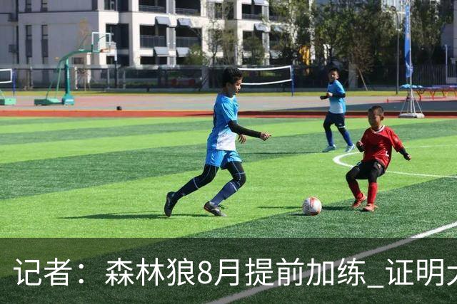 记者：森林狼8月提前加练 证明大换血明智