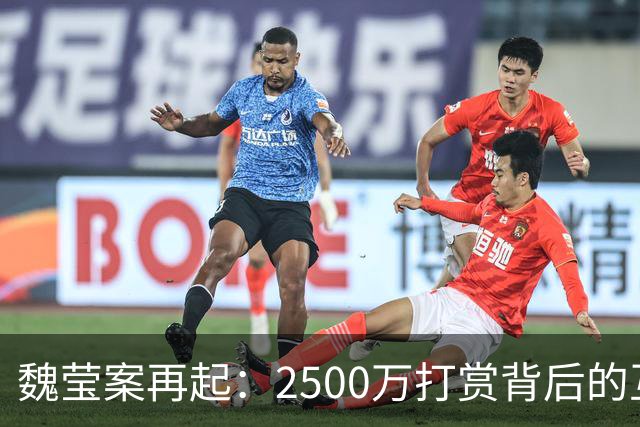 魏莹案再起：2500万打赏背后的互相隐瞒与博弈